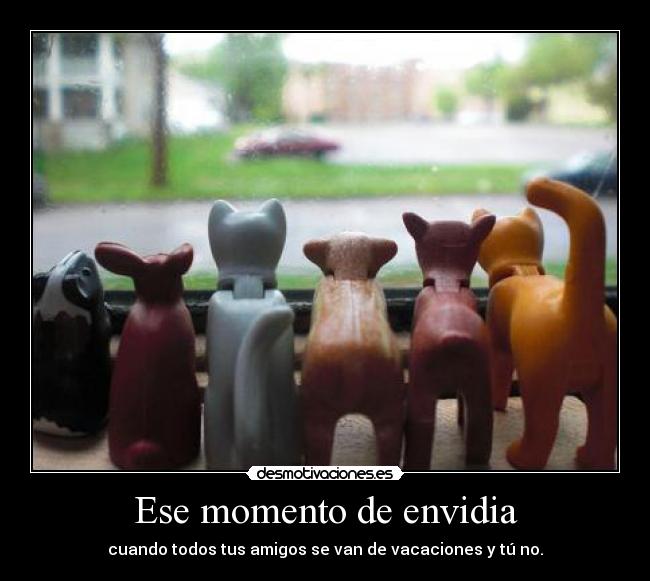 Ese momento de envidia - 