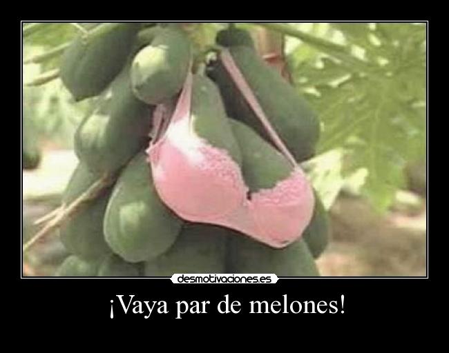 ¡Vaya par de melones! - 