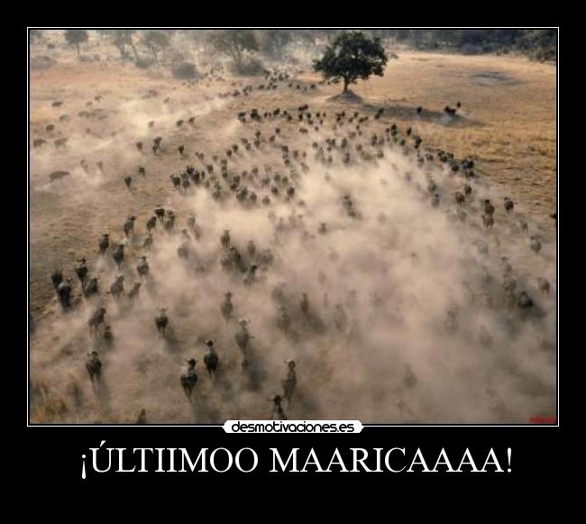 ¡ÚLTIIMOO MAARICAAAA! - 