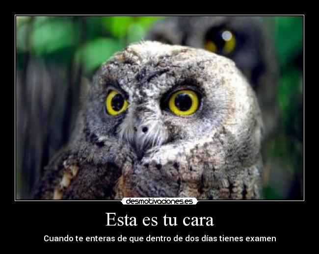 Esta es tu cara - Cuando te enteras de que dentro de dos días tienes examen