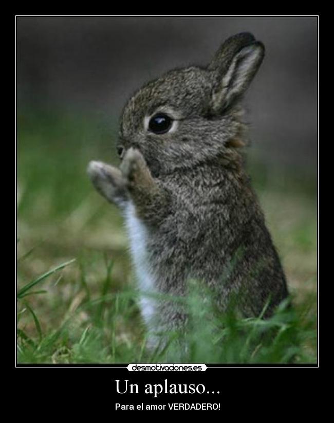 Un aplauso... - 