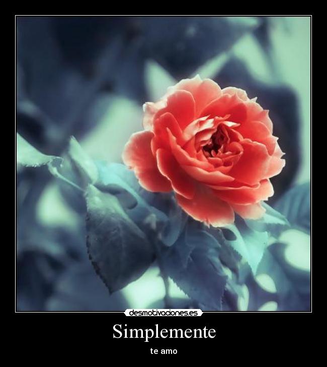 Simplemente - te amo