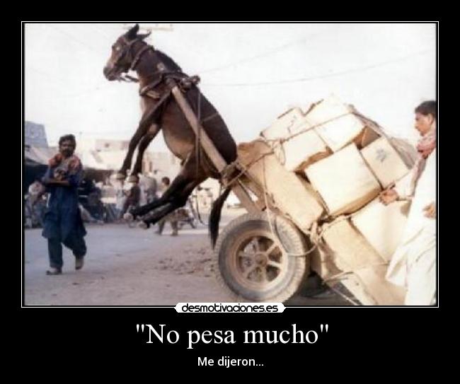 No pesa mucho - Me dijeron...
