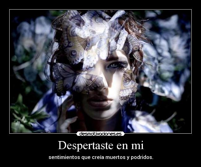 carteles fanclere renace ahora solo ama desmopornositas ella forever 14m love desmotivaciones