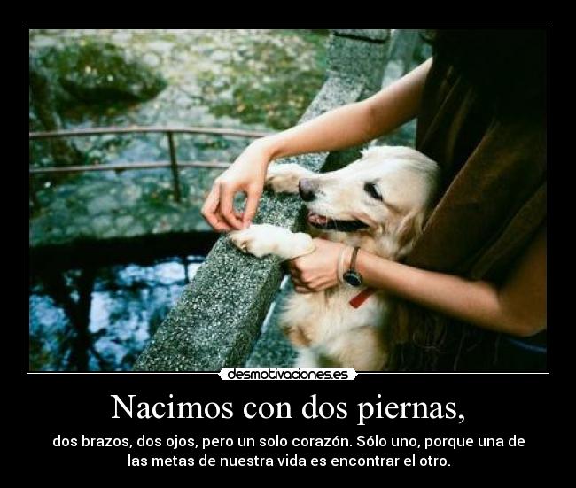 Nacimos con dos piernas, - 