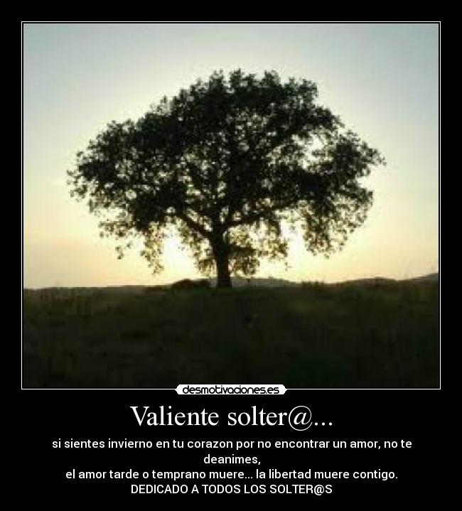 Valiente solter@... - si sientes invierno en tu corazon por no encontrar un amor, no te deanimes,
el amor tarde o temprano muere... la libertad muere contigo.
DEDICADO A TODOS LOS SOLTER@S