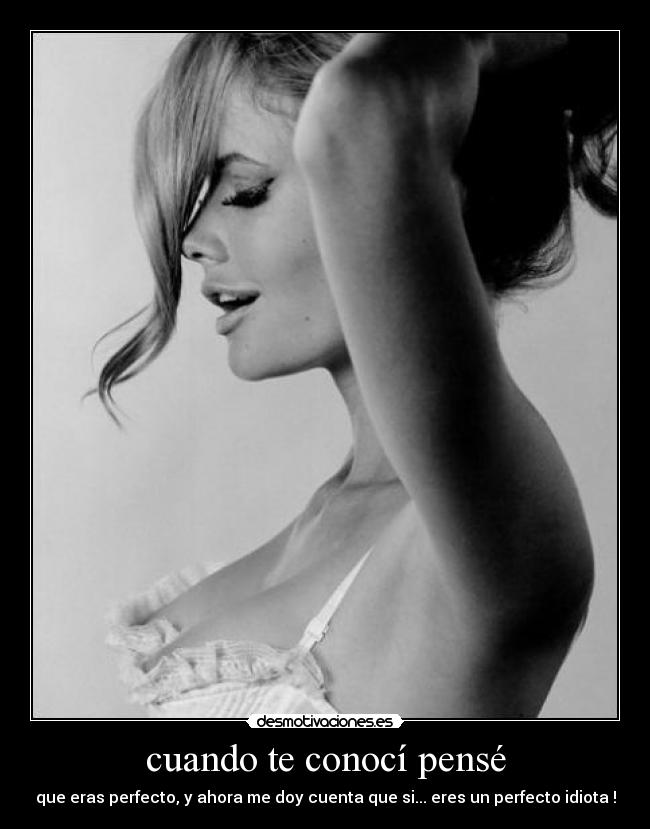cuando te conocí pensé - que eras perfecto, y ahora me doy cuenta que si... eres un perfecto idiota !