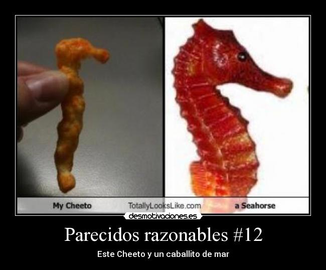 carteles desmotivaciones