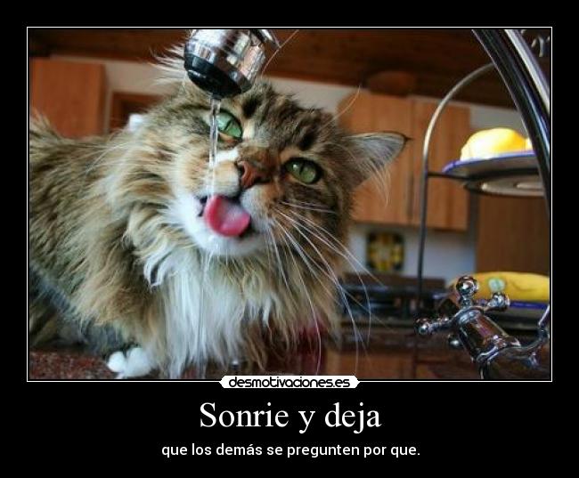 Sonrie y deja -