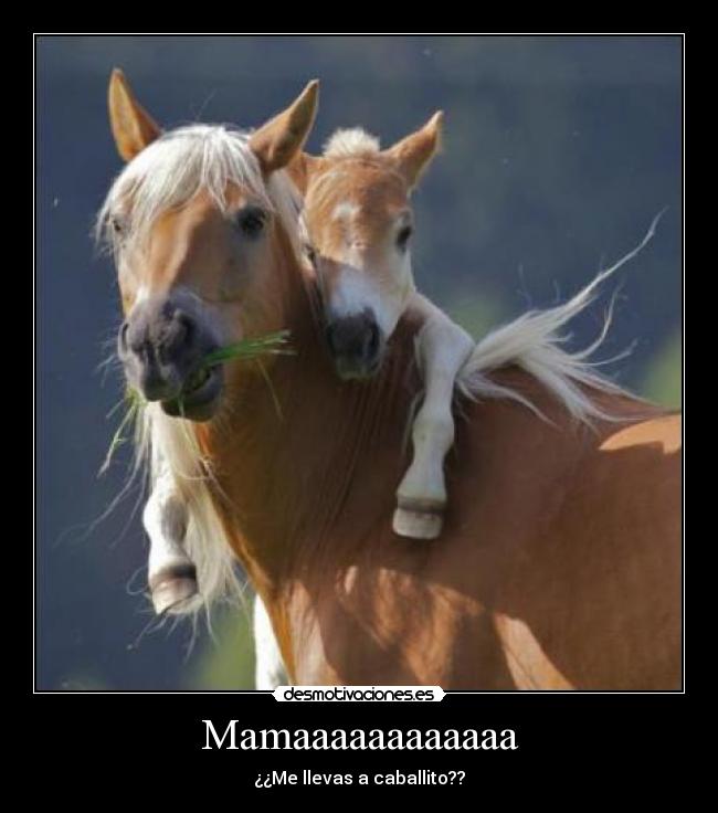 Mamaaaaaaaaaaaa - ¿¿Me llevas a caballito??