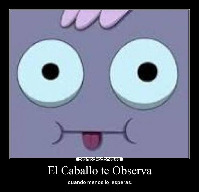 El Caballo te Observa - 