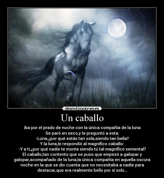 Un caballo -