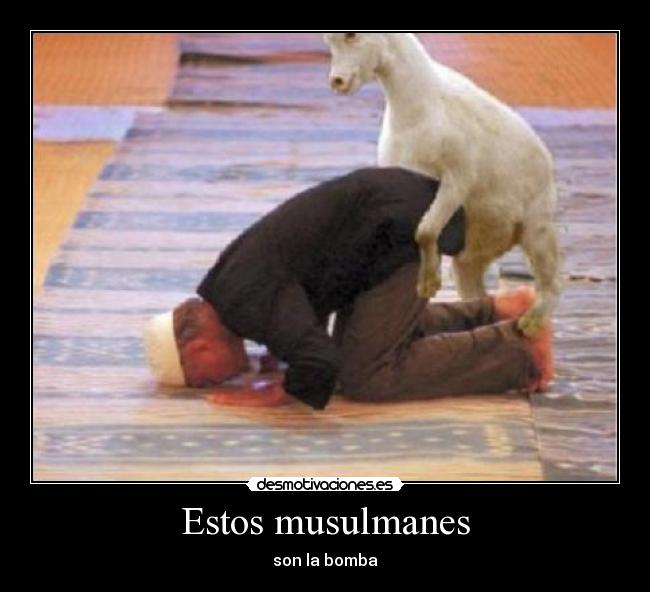 Estos musulmanes - son la bomba
