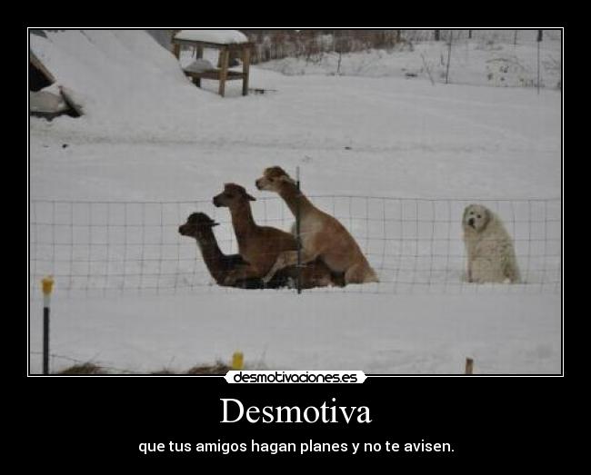 Desmotiva - que tus amigos hagan planes y no te avisen.