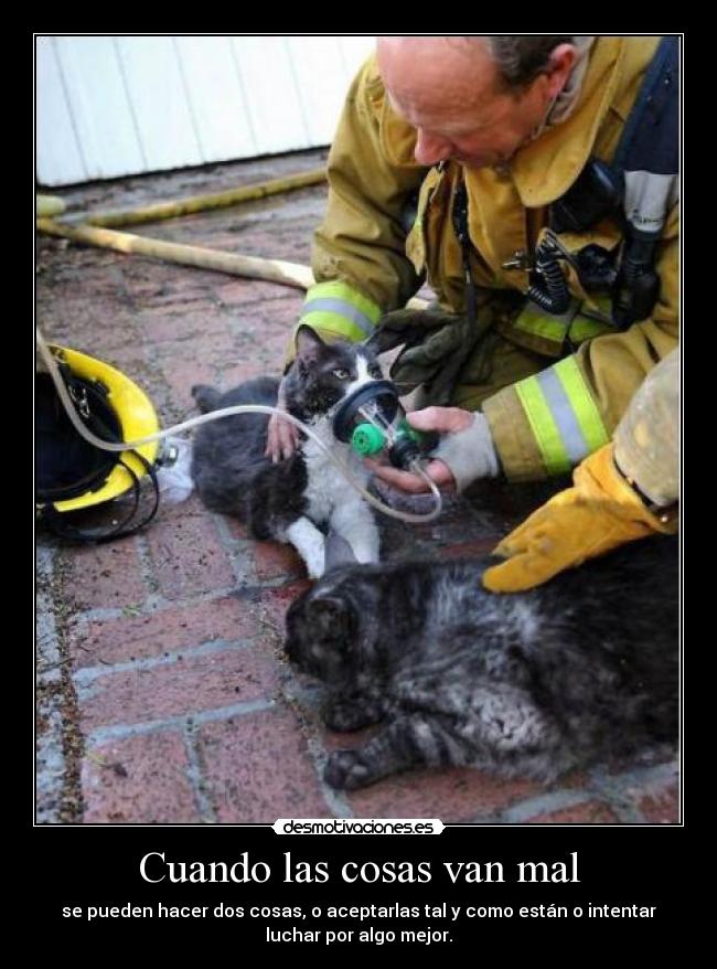 carteles dsdsds desmotivaciones