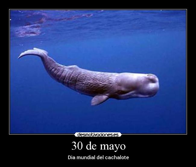 30 de mayo -