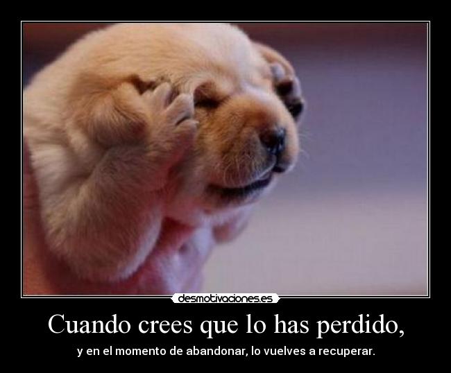 Cuando crees que lo has perdido, - y en el momento de abandonar, lo vuelves a recuperar.