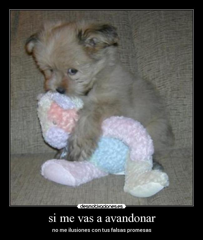 si me vas a avandonar - no me ilusiones con tus falsas promesas