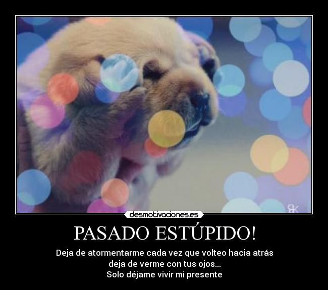 PASADO ESTÚPIDO! - Deja de atormentarme cada vez que volteo hacia atrás
deja de verme con tus ojos...
Solo déjame vivir mi presente