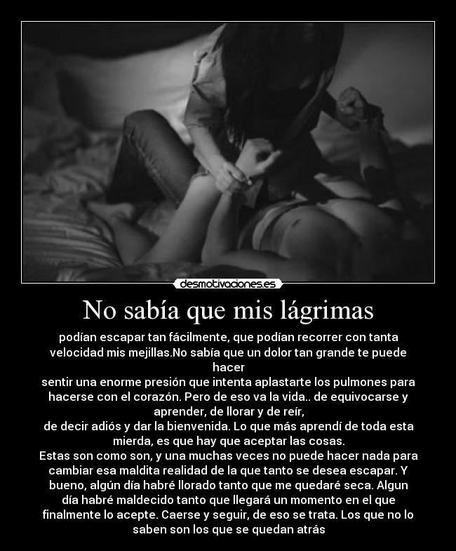 carteles fitomola desmopornositas alex julia anye antonia desmotivaciones