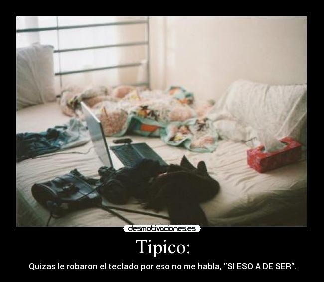 Tipico: - Quizas le robaron el teclado por eso no me habla, SI ESO A DE SER.