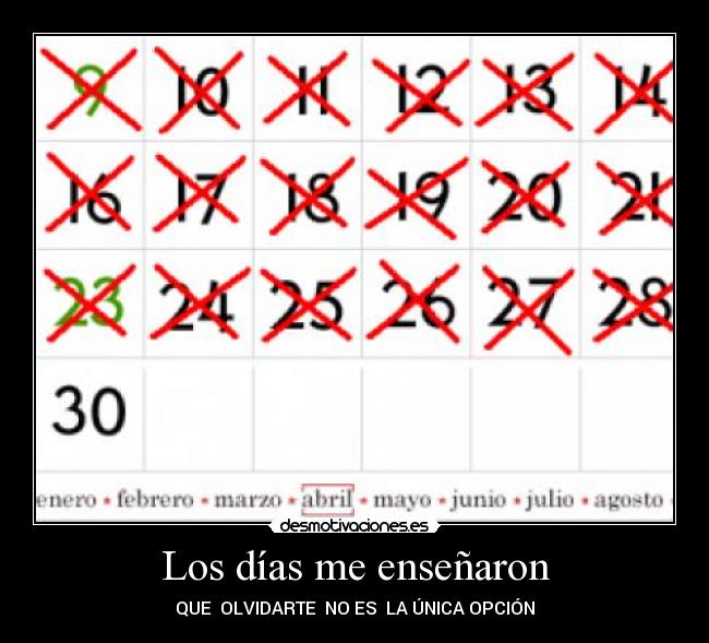 Los días me enseñaron -