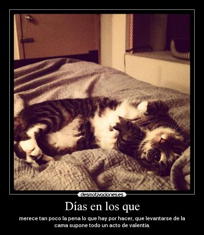 Días en los que -