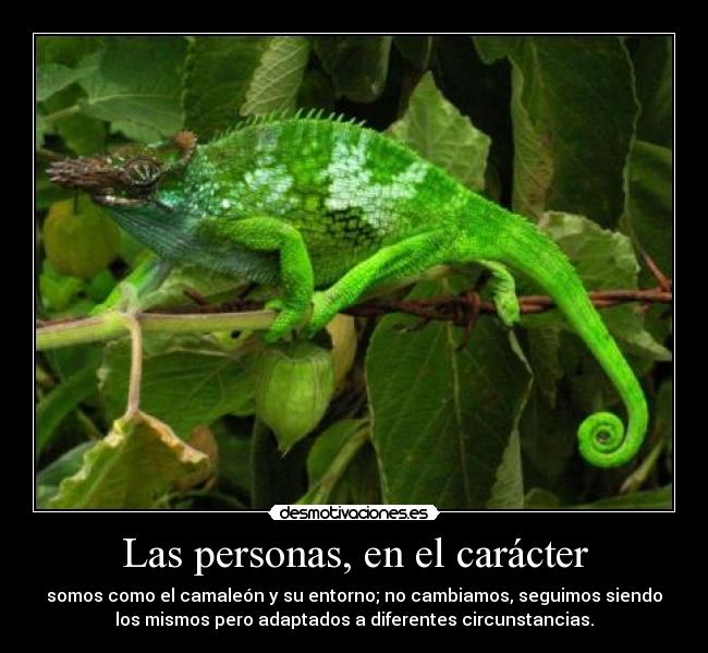 Que por la máscara para la persona sobre los caracoles