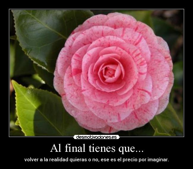 Al final tienes que... -
