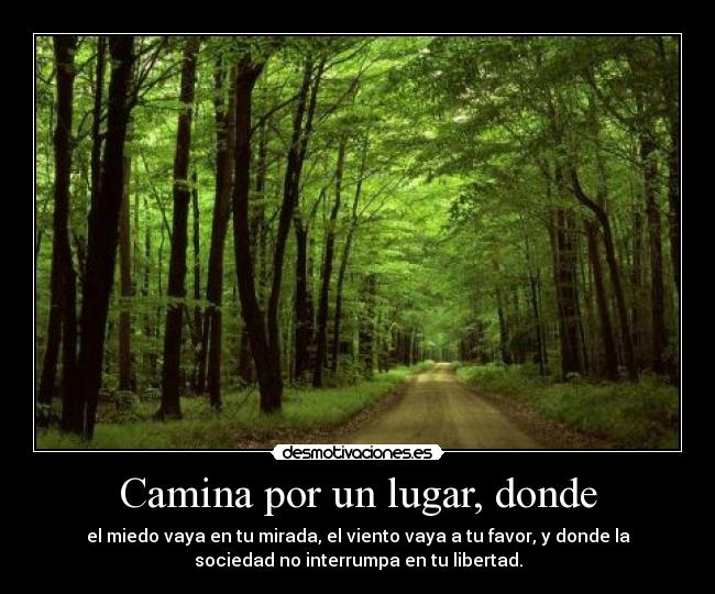 Camina por un lugar, donde - el miedo vaya en tu mirada, el viento vaya a tu favor, y donde la
sociedad no interrumpa en tu libertad.