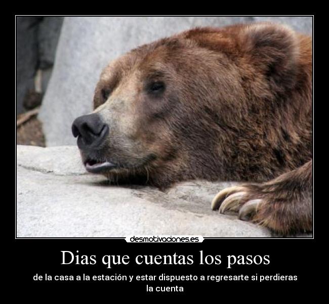 carteles pereza contar pasos desmotivaciones