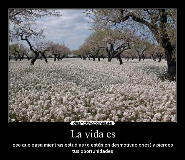 La vida es - eso que pasa mientras estudias (o estás en desmotivaciones) y pierdes
tus oportunidades