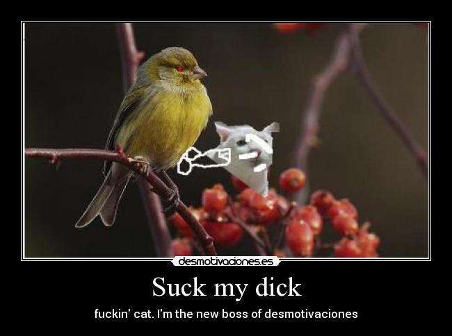 Suck my dick -