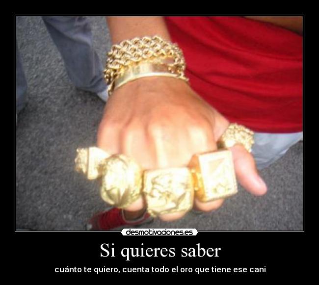 Si quieres saber - cuánto te quiero, cuenta todo el oro que tiene ese cani