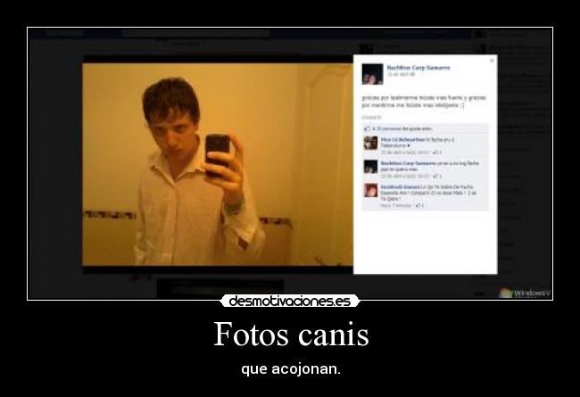 Fotos canis - 