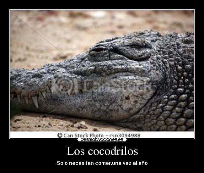 carteles alezepeda desmotivaciones