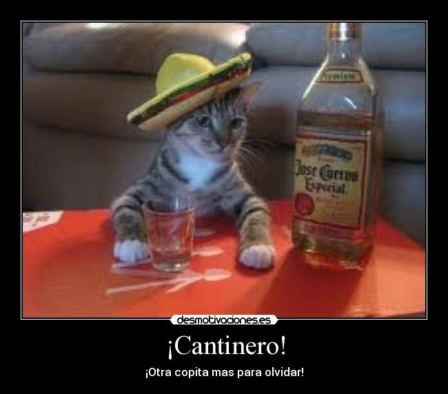 ¡Cantinero! - 