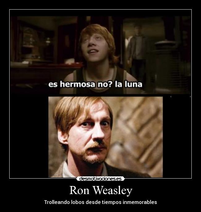 carteles harry potter desmotivaciones