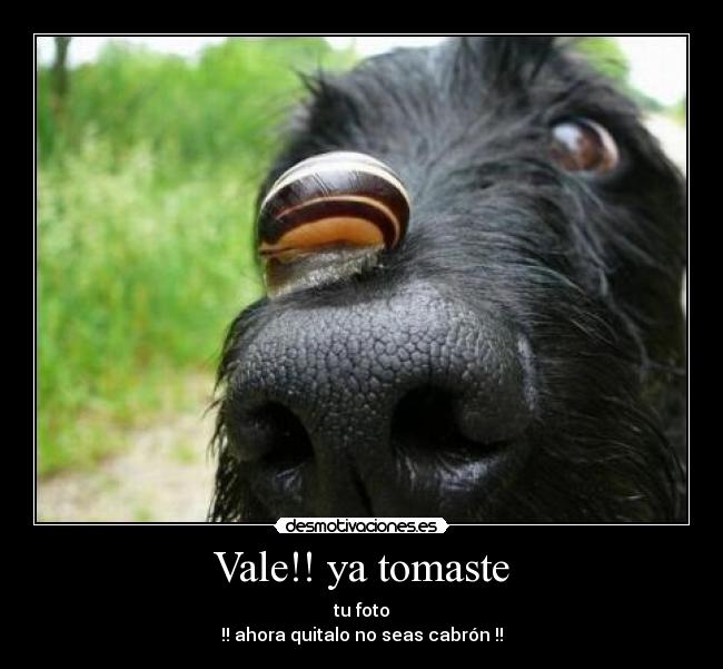 Vale!! ya tomaste - 