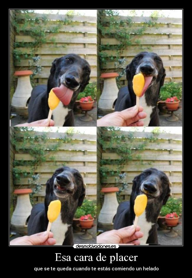 Esa cara de placer - que se te queda cuando te estás comiendo un helado