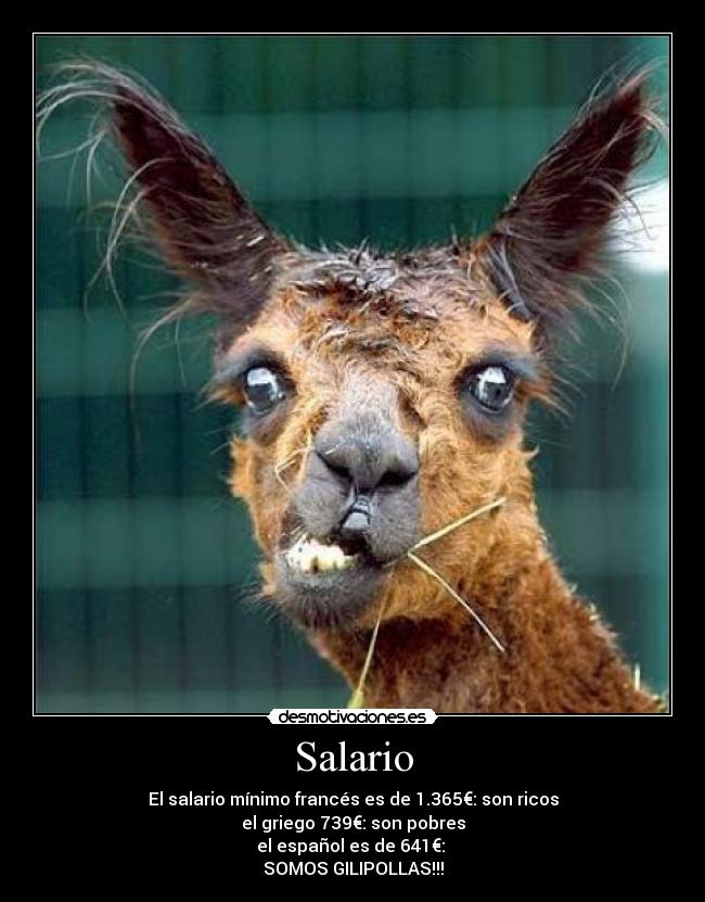 Salario - El salario mínimo francés es de 1.365€: son ricos
el griego 739€: son pobres
el español es de 641€:
SOMOS GILIPOLLAS!!!