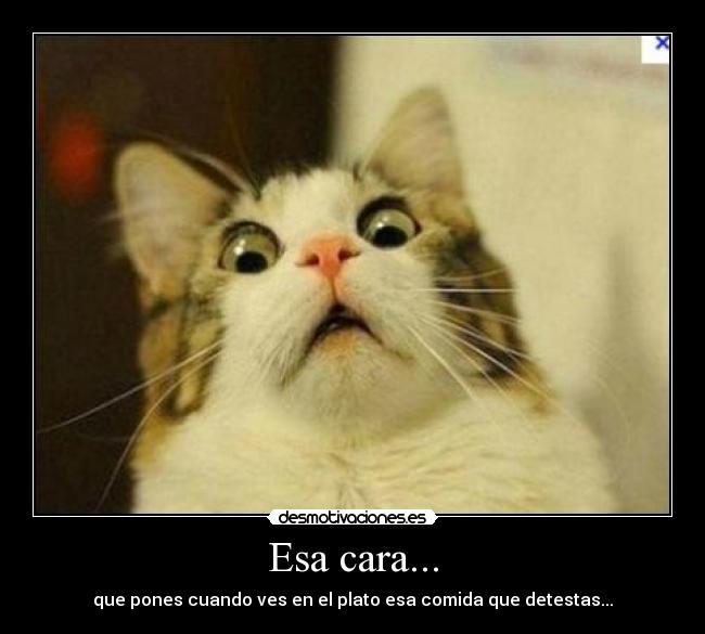 Esa cara... - que pones cuando ves en el plato esa comida que detestas...