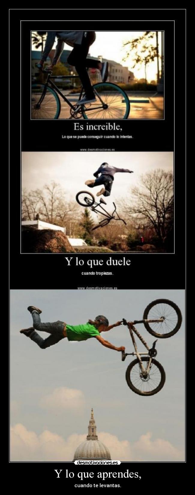 Y lo que aprendes, -