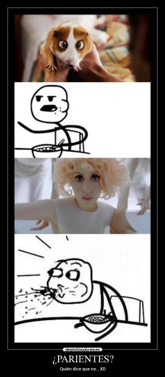 carteles lady gaga fisgon desmotivaciones