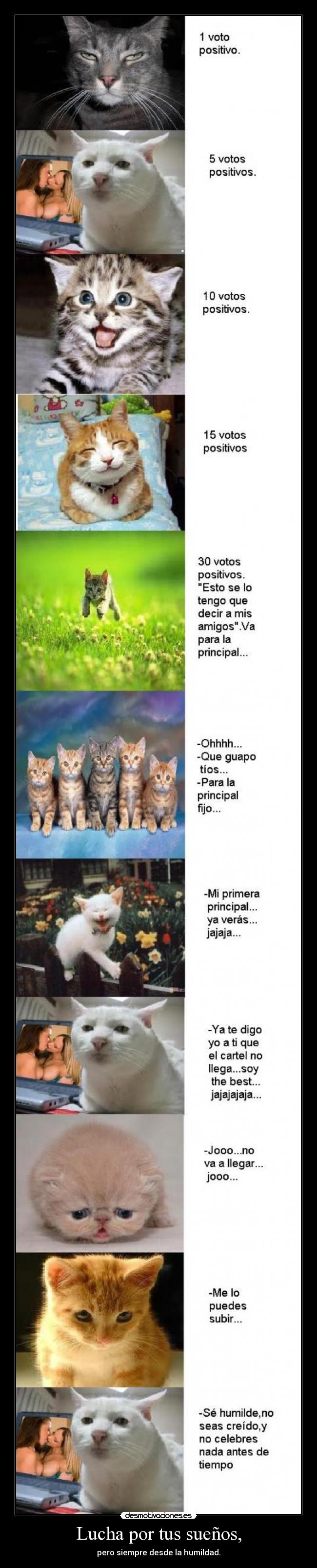 Lucha por tus sueños, - pero siempre desde la humildad.