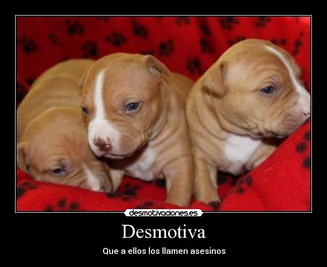 Desmotiva - 