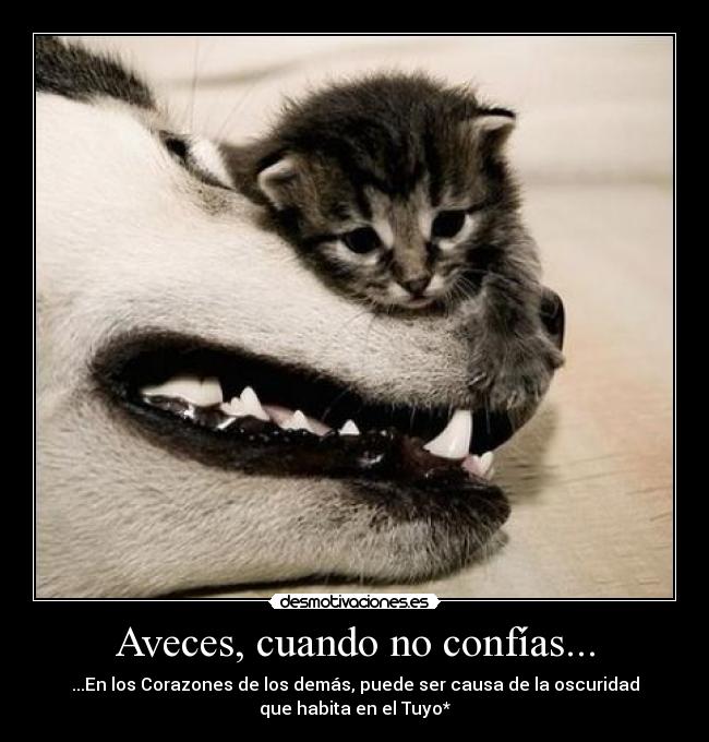 Aveces, cuando no confías... - ...En los Corazones de los demás, puede ser causa de la oscuridad
que habita en el Tuyo*