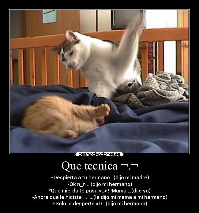 Que tecnica ¬.¬ -