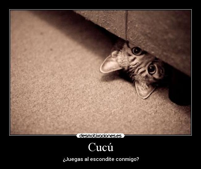 Cucú - ¿Juegas al escondite conmigo?
