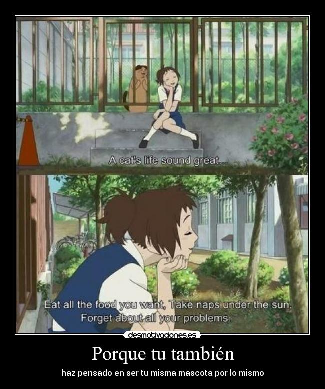 Porque tu también - haz pensado en ser tu misma mascota por lo mismo